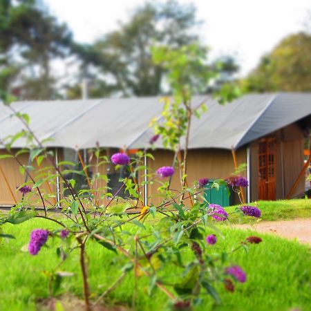 Durrell Wildlife Camp Hotel Trinity Exterior foto